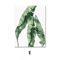 Nordic Green Botanical Canvas Wall Art Monstera Banana Leaf Minimalist Decor For Living Room Bed 9