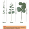 369PCS Artificial Eucalyptus Bouquet Realistic Fake Greenery For Home Wedding Vase Decor 4