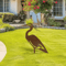 Rusted Metal Crane Garden Statue Contemporary Heron Sculpture For Outdoor Yard Lawn Decor 1