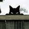 Black Metal Peeping Cat Garden Stake Whimsical Silhouette Yard Decor 0