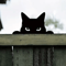 Black Metal Peeping Cat Garden Stake Whimsical Silhouette Yard Decor 0