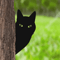 Black Metal Peeping Cat Garden Stake Whimsical Silhouette Yard Decor 1