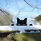 Black Metal Peeping Cat Garden Stake Whimsical Silhouette Yard Decor 2