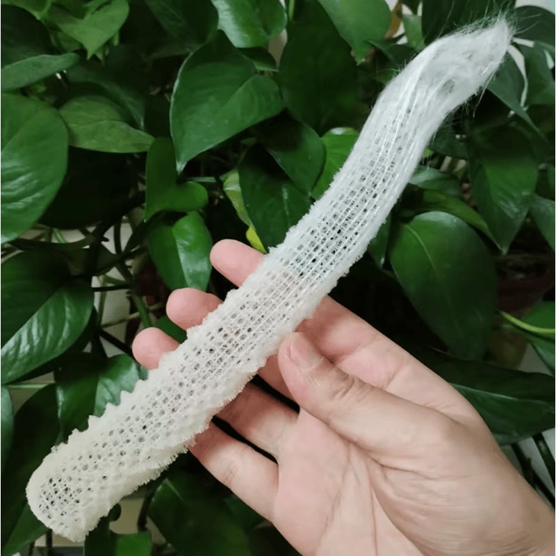 Venus Flower Basket Glass Sponge Decor OceanInspired Aquarium Table Accent 1