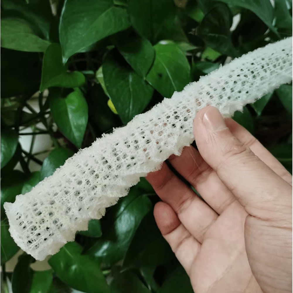 Venus Flower Basket Glass Sponge Decor OceanInspired Aquarium Table Accent 3