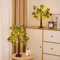 Eucalyptus Birch Tree Fairy Lights USB Battery Powered Decorative Desk Lamp 0