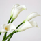 Mini Artificial Calla Lily PU Flower Elegant Wedding Table Decor 4