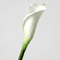 Mini Artificial Calla Lily PU Flower Elegant Wedding Table Decor 5