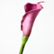 Mini Artificial Calla Lily PU Flower Elegant Wedding Table Decor 6