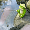 Cute Frog Fishing Figurine Whimsical Resin Frog Statue For Outdoor Garden Decor 1