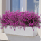 12 Bundles UV Resistant Artificial Outdoor Flowers Lifelike Plastic Shrubs For Garden Window Box 0