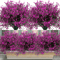 12 Bundles UV Resistant Artificial Outdoor Flowers Lifelike Plastic Shrubs For Garden Window Box 1