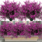 12 Bundles UV Resistant Artificial Outdoor Flowers Lifelike Plastic Shrubs For Garden Window Box 1