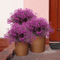 12 Bundles UV Resistant Artificial Outdoor Flowers Lifelike Plastic Shrubs For Garden Window Box 2