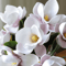 Artificial Magnolia Flower Bundle Elegant 3Branch Silk Floral Decor For Home Table Styling 3