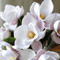 Artificial Magnolia Flower Bundle Elegant 3Branch Silk Floral Decor For Home Table Styling 3