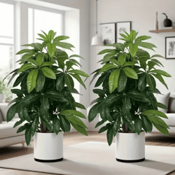 lushlife realistic artificial money tree palm for indoor & outdoor decor