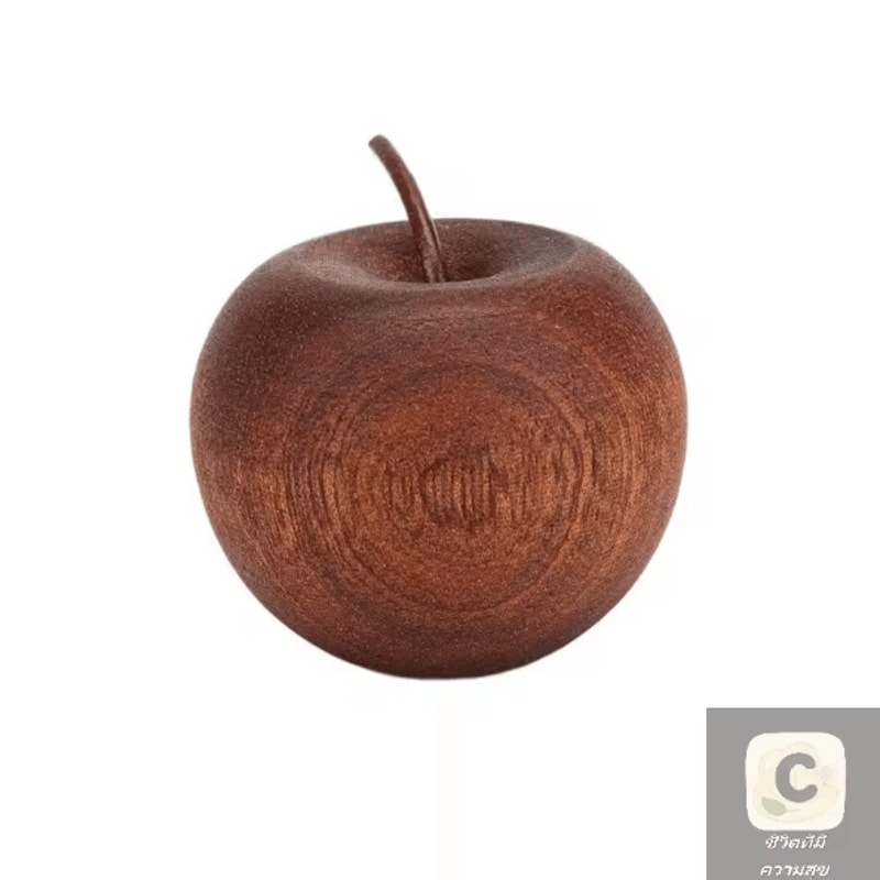 VIKAMA Wooden Apple Essential Oil Diffuser Natural Aromatherapy Decor For Home Car 5