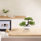 ZenLeaf Artificial Bonsai Tree Plastic Bionic Plant For Home Office Decor 1