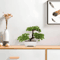 ZenLeaf Artificial Bonsai Tree Plastic Bionic Plant For Home Office Decor 2