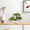 ZenLeaf Artificial Bonsai Tree Plastic Bionic Plant For Home Office Decor 2