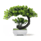 ZenLeaf Artificial Bonsai Tree Plastic Bionic Plant For Home Office Decor 4