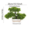 ZenLeaf Artificial Bonsai Tree Plastic Bionic Plant For Home Office Decor 5