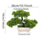 ZenLeaf Artificial Bonsai Tree Plastic Bionic Plant For Home Office Decor 5