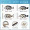 OceanCraft 4PCS Wooden Fish Wall Decor Marine Style Carved Hanging Art 4