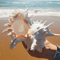 OceanTreasure Large Murex Ramosus Shell Natural Conch Decor For Home Events 3