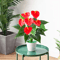 TropiLeaf 209 Inch Artificial Monstera Leaves Large Tropical Greenery Decor 1