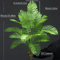 TropiMax 346 Inch Artificial Monstera Palm Leaves Large Tropical Decor Branch 6