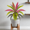 TropiDraca 17Leaf Artificial Dracaena Plant 177 Inch Tropical Palm Decor Branch 1