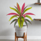 TropiDraca 17Leaf Artificial Dracaena Plant 177 Inch Tropical Palm Decor Branch 1