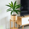 TropiDraca 17Leaf Artificial Dracaena Plant 177 Inch Tropical Palm Decor Branch 3