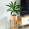 TropiDraca 17Leaf Artificial Dracaena Plant 177 Inch Tropical Palm Decor Branch 3