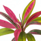 TropiDraca 17Leaf Artificial Dracaena Plant 177 Inch Tropical Palm Decor Branch 4