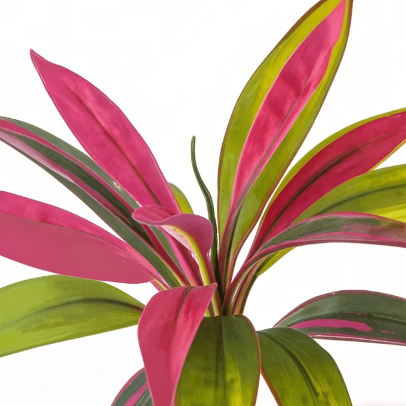 TropiDraca 17Leaf Artificial Dracaena Plant 177 Inch Tropical Palm Decor Branch 4