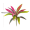 TropiDraca 17Leaf Artificial Dracaena Plant 177 Inch Tropical Palm Decor Branch 5