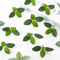 GreenBloom 50PCS Artificial Silk Tea Rose Flowers Bulk Wedding DIY Decor 2