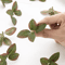 GreenBloom 50PCS Artificial Silk Tea Rose Flowers Bulk Wedding DIY Decor 3