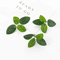 GreenBloom 50PCS Artificial Silk Tea Rose Flowers Bulk Wedding DIY Decor 5