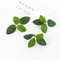 GreenBloom 50PCS Artificial Silk Tea Rose Flowers Bulk Wedding DIY Decor 5