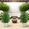 GreenAura Artificial Money Tree Palm Large Tropical Plant Decor For Indoor Outdoor Spaces 3