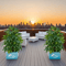 GreenAura Artificial Money Tree Palm Large Tropical Plant Decor For Indoor Outdoor Spaces 4