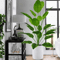 GreenMajesty 433 Inch Large Artificial Plant Tree Lush Indoor Outdoor Decor 2