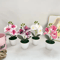 MiniZen Artificial Bonsai Plant Potted Fake Tree For Home Desk Decor 1
