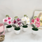 MiniZen Artificial Bonsai Plant Potted Fake Tree For Home Desk Decor 1