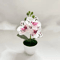 MiniZen Artificial Bonsai Plant Potted Fake Tree For Home Desk Decor 3