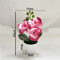 MiniZen Artificial Bonsai Plant Potted Fake Tree For Home Desk Decor 9
